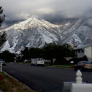 Meet your Posher, Adalberto